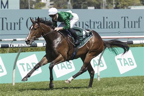 gimcrack stakes